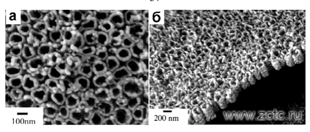 СЭМ-изображения поверхности трубчатого слоя и поперечного сечения НТАОТ